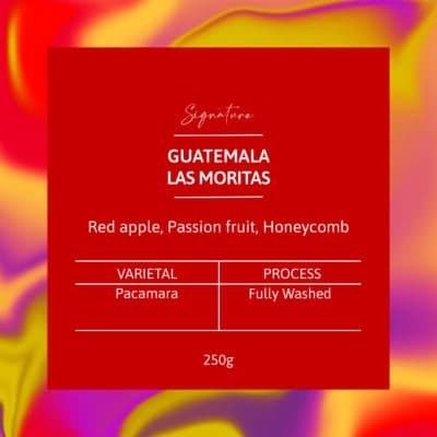GUATEMALA Las Moritas Pacamara