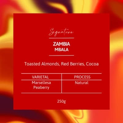 ZAMBIA Mbala Peaberry